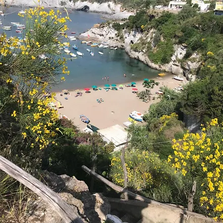 Cala Feola Immobilevante Lejlighed Ponza